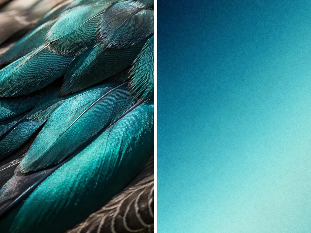 Close-up teal duck feathers next to a smooth teal color gradient swatch for teal meaning comparison.