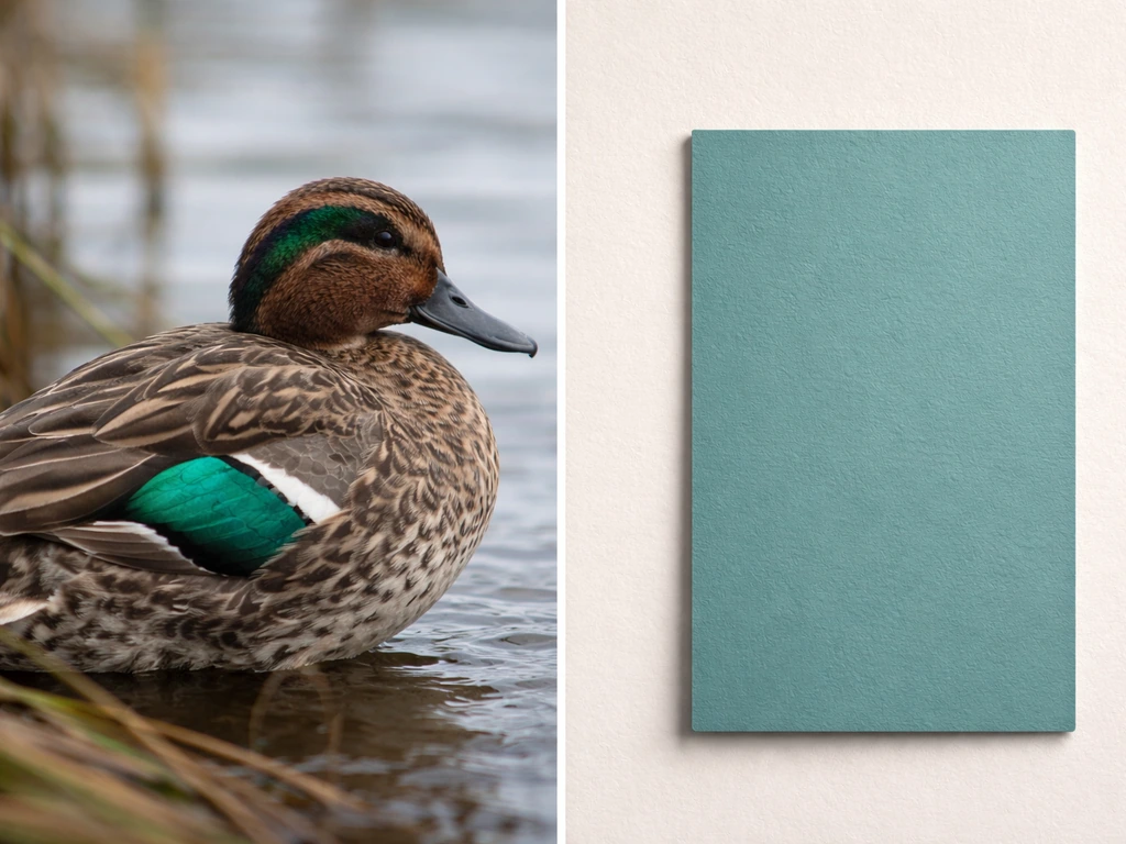 Minimal photo-style comparison showing a teal duck wing detail beside a teal paint color swatch.