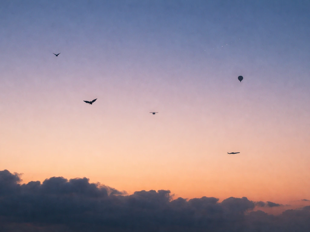 Minimal dusk sky with distinct silhouettes of bird, bat, drone, aircraft, satellite, balloon, and cloud-like forms.