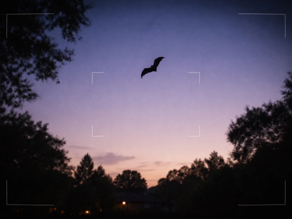 Dusk sky view with a distant bat silhouette looping in flight over a quiet park neighborhood.