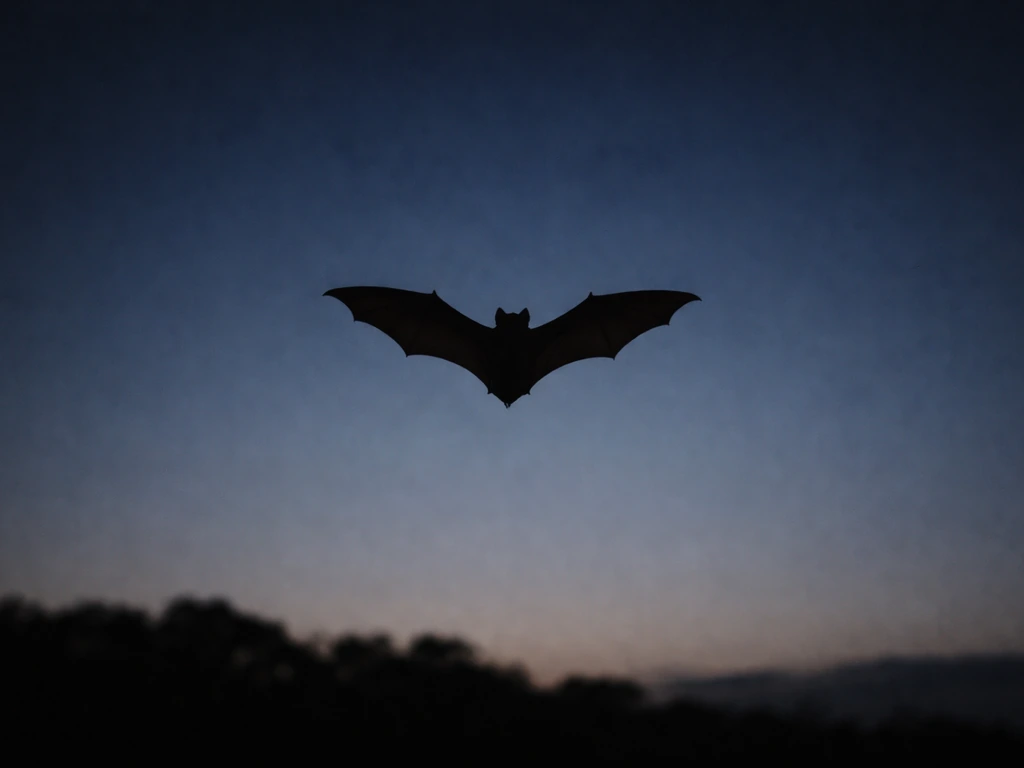 Brown bat silhouette flying at dusk against a dark sky with soft natural light.