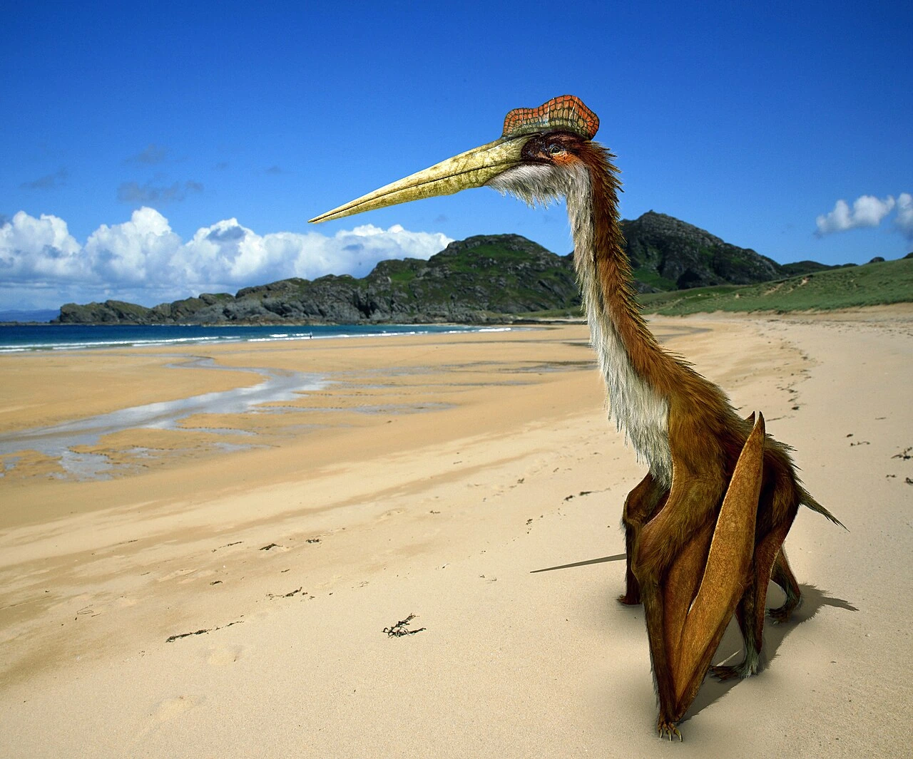 Is Quetzalcoatlus a Bird? What It Really Was and Why